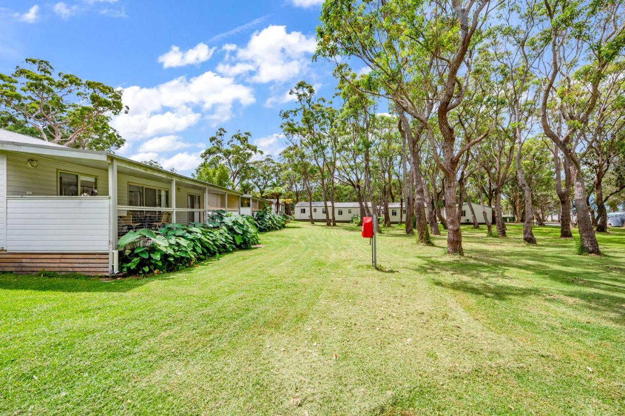 Koala Shores Holiday Park Lemon Tree Passage Exteriör bild
